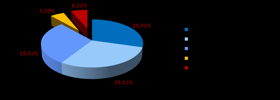 7. Informacja o strukturze akcjonariatu emitenta, ze wskazaniem akcjonariuszy posiadających, na dzień sporządzenia raportu, co najmniej 5% głosów na walnym zgromadzeniu Wykres.1.