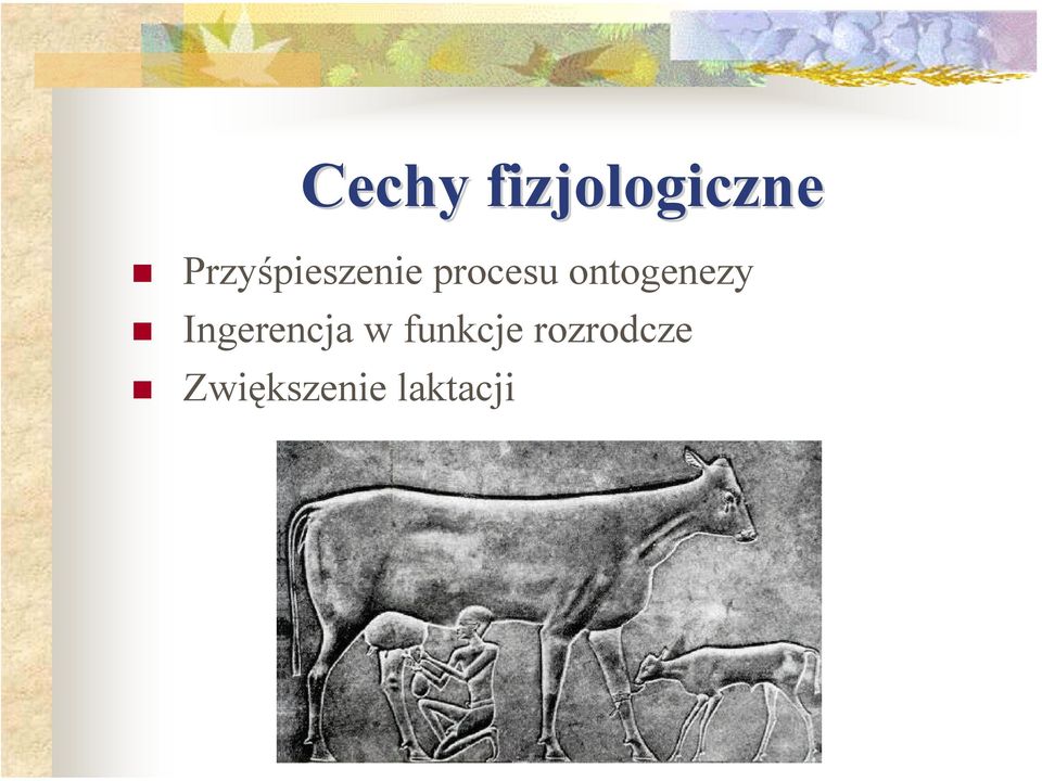 ontogenezy Ingerencja w