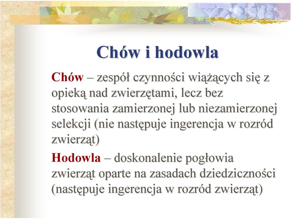 następuje ingerencja w rozród zwierząt) Hodowla doskonalenie pogłowia owia