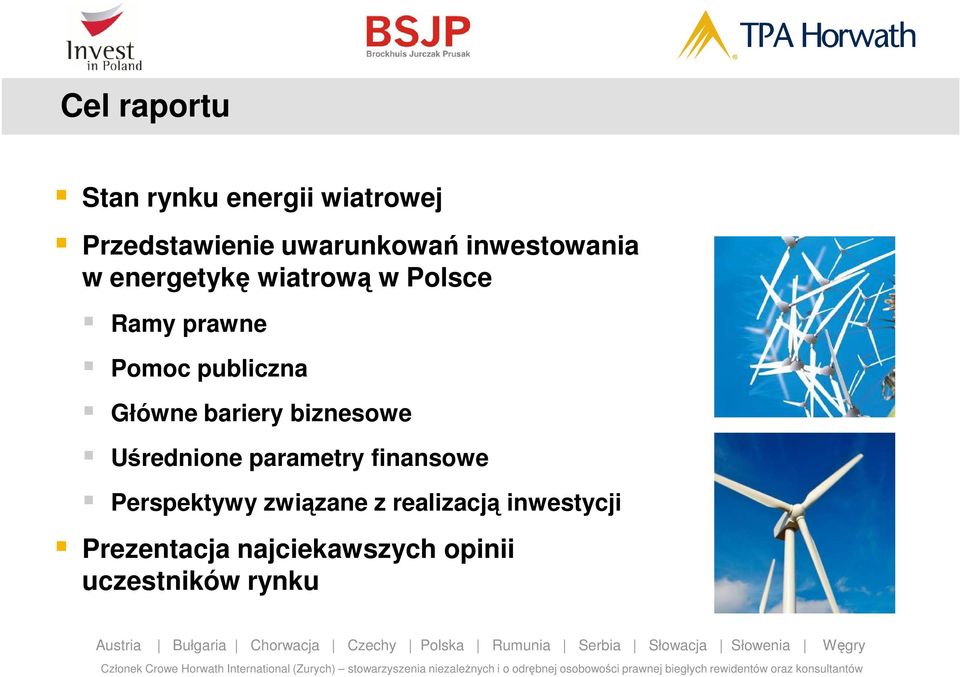 Główne bariery biznesowe Uśrednione parametry finansowe Perspektywy