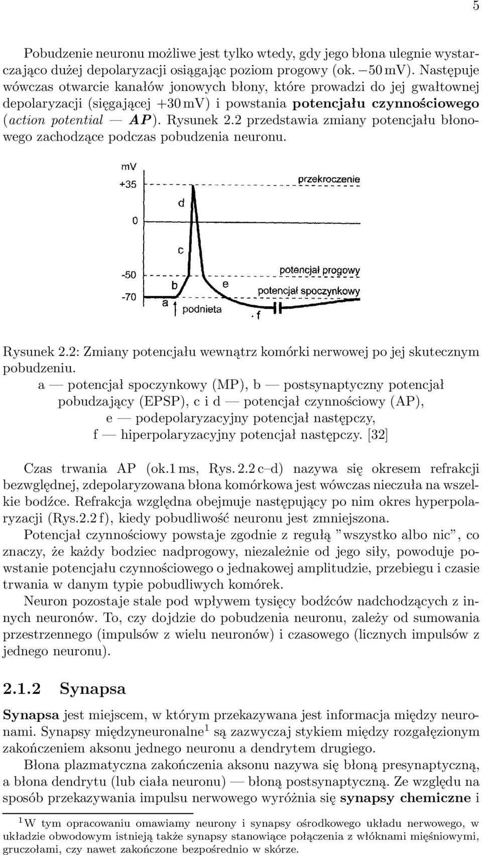 2 przedstawia zmiany potencjału błonowego zachodzące podczas pobudzenia neuronu. Rysunek 2.2: Zmiany potencjału wewnątrz komórki nerwowej po jej skutecznym pobudzeniu.