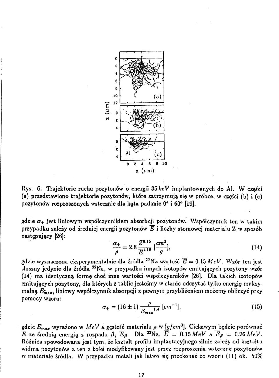 gdzie or + jest liniowym współczynnikiem absorbcji pozytonów.