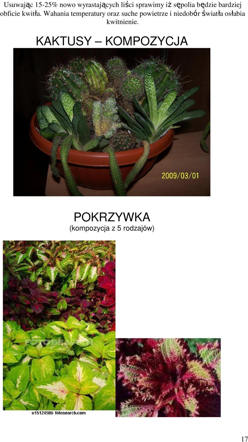 Wahania temperatury oraz suche powietrze i niedobór