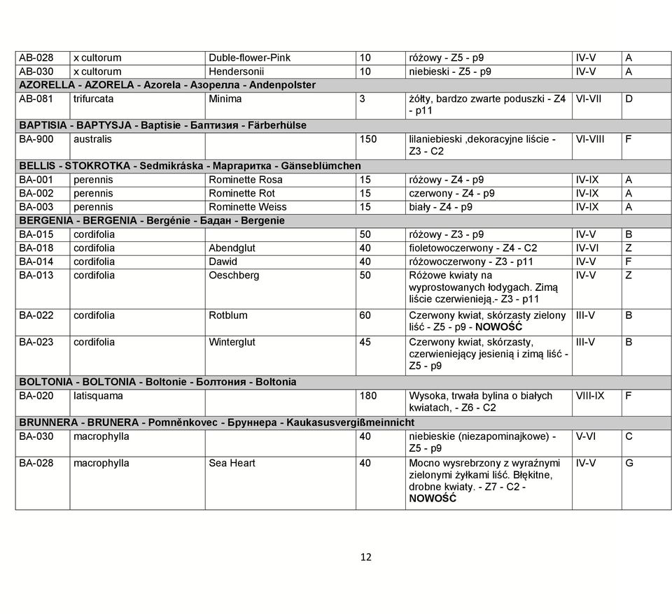 Gänseblümchen B-001 perennis Rominette Rosa 15 różowy - 4 - IV-IX B-002 perennis Rominette Rot 15 czerwony - 4 - IV-IX B-003 perennis Rominette Weiss 15 biały - 4 - IV-IX BERGENI - BERGENI - Bergénie