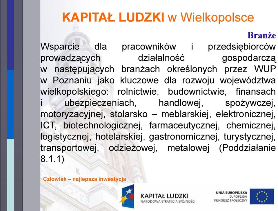 ubezpieczeniach, handlowej, spożywczej, motoryzacyjnej, stolarsko meblarskiej, elektronicznej, ICT, biotechnologicznej,