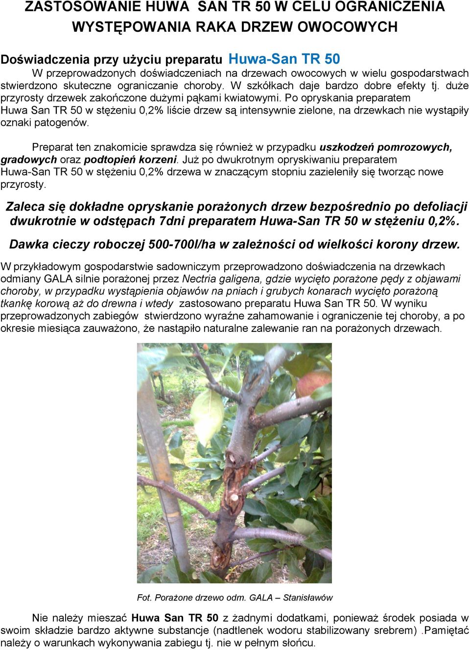 Po opryskania preparatem Huwa San TR 50 w stężeniu 0,2% liście drzew są intensywnie zielone, na drzewkach nie wystąpiły oznaki patogenów.