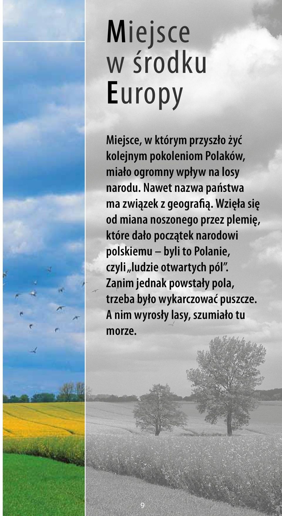 Wzięła się od miana noszonego przez plemię, które dało początek narodowi polskiemu byli to Polanie,