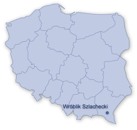 MAŁE ELEKTROWNIE WODNE WRÓBLIK SZLACHECKI (woj. podkarpackie) W okolicach Rymanowa w miejscowości Wróblik Szlachecki na rzece Tabor znajduję się jaz piętrzacy wodę.