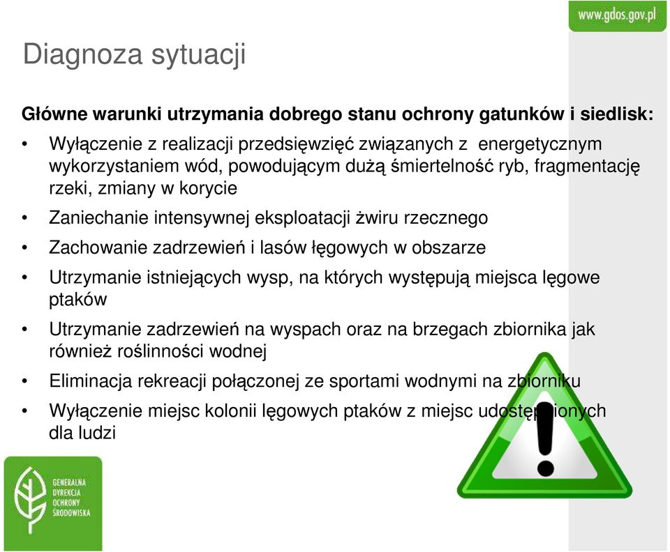 zadrzewień i lasów łęgowych w obszarze Utrzymanie istniejących wysp, na których występują miejsca lęgowe ptaków Utrzymanie zadrzewień na wyspach oraz na brzegach