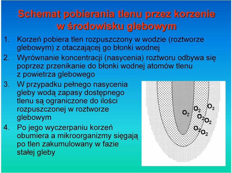 Wyrównanie koncentracji (nasycenia) roztworu odbywa się poprzez przenikanie do błonki wodnej atomów tlenu z powietrza glebowego 3.