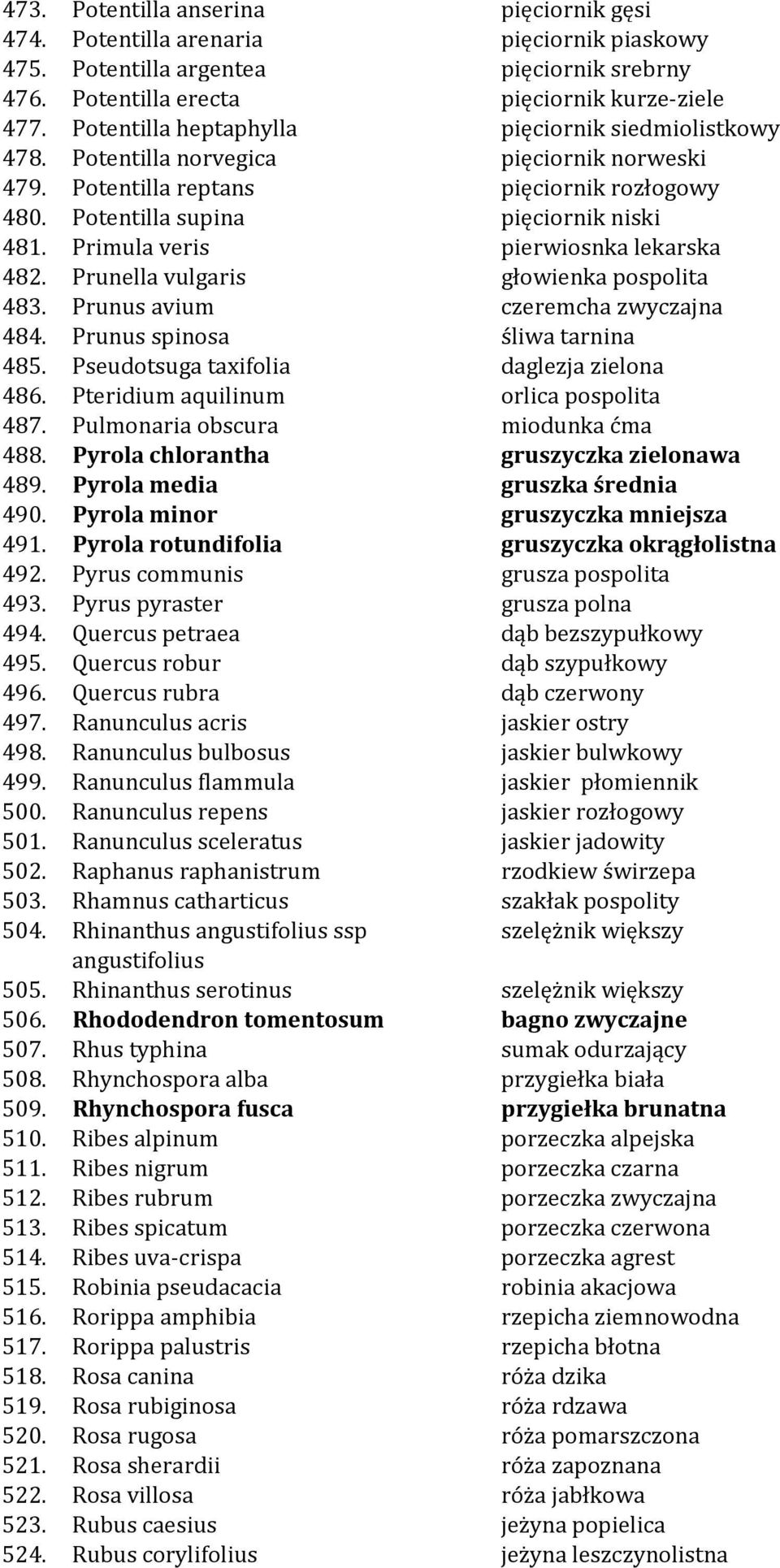 Primula veris pierwiosnka lekarska 482. Prunella vulgaris głowienka pospolita 483. Prunus avium czeremcha zwyczajna 484. Prunus spinosa śliwa tarnina 485. Pseudotsuga taxifolia daglezja zielona 486.