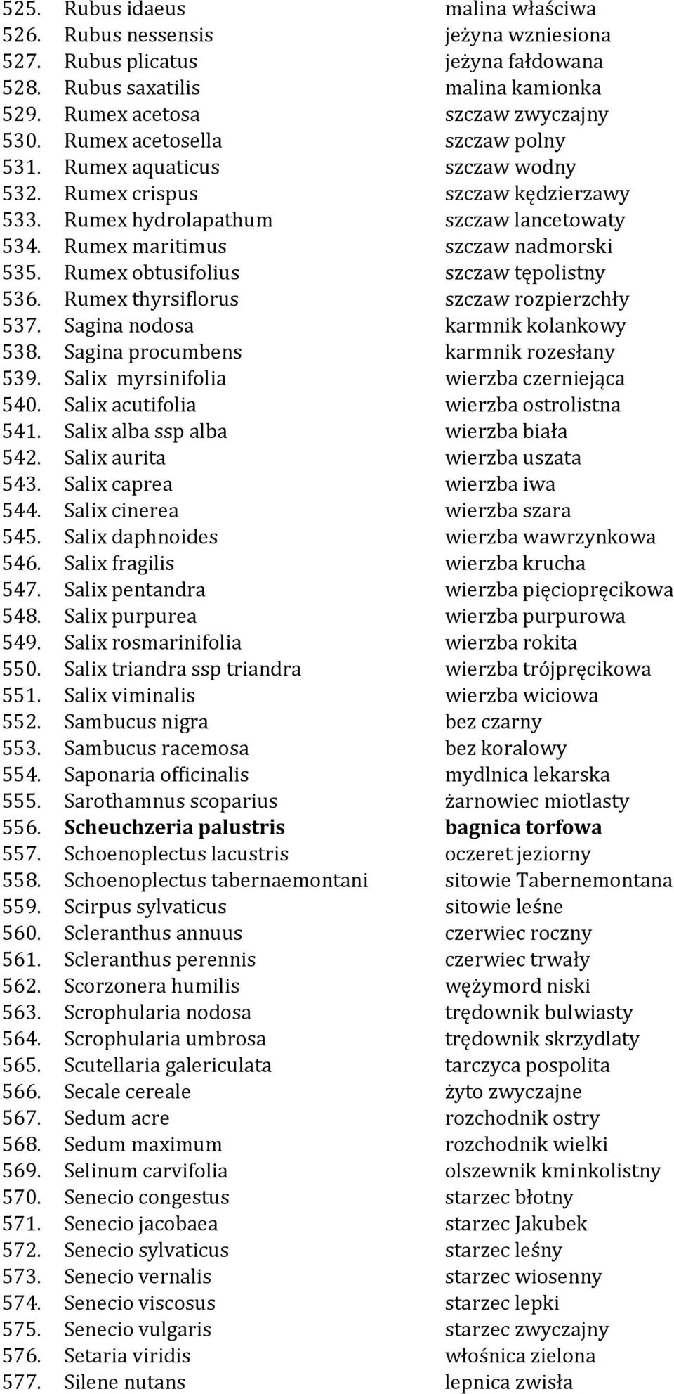 Rumex obtusifolius szczaw tępolistny 536. Rumex thyrsiflorus szczaw rozpierzchły 537. Sagina nodosa karmnik kolankowy 538. Sagina procumbens karmnik rozesłany 539.