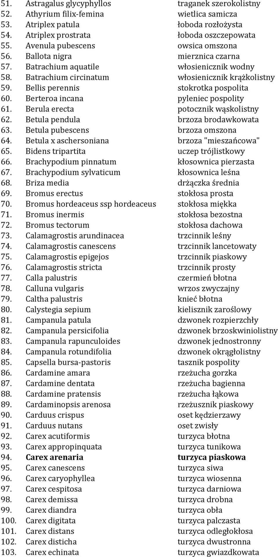 Bellis perennis stokrotka pospolita 60. Berteroa incana pyleniec pospolity 61. Berula erecta potocznik wąskolistny 62. Betula pendula brzoza brodawkowata 63. Betula pubescens brzoza omszona 64.