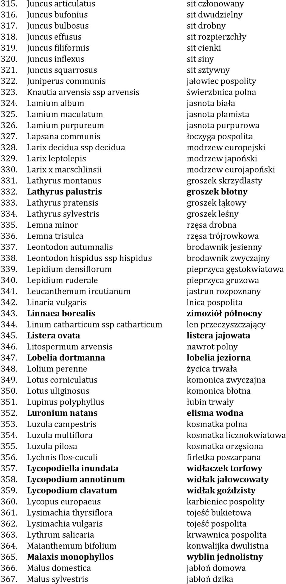 Lamium maculatum jasnota plamista 326. Lamium purpureum jasnota purpurowa 327. Lapsana communis łoczyga pospolita 328. Larix decidua ssp decidua modrzew europejski 329.