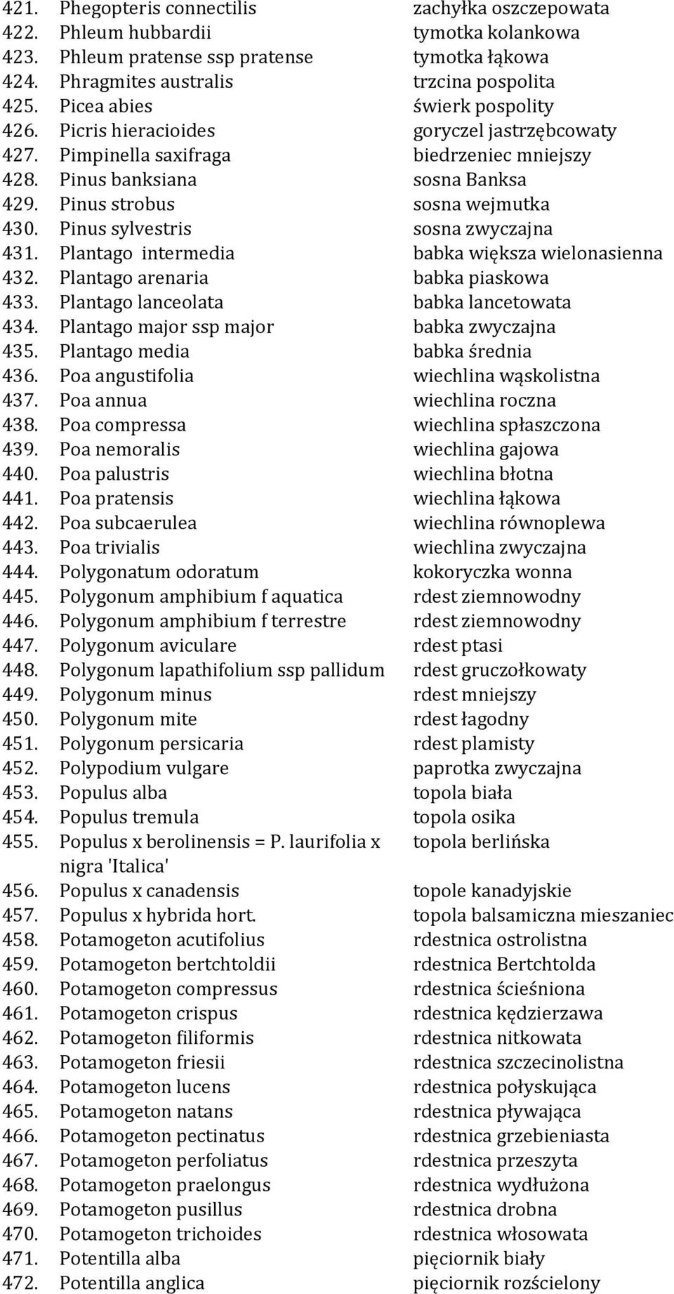 Pinus sylvestris sosna zwyczajna 431. Plantago intermedia babka większa wielonasienna 432. Plantago arenaria babka piaskowa 433. Plantago lanceolata babka lancetowata 434.