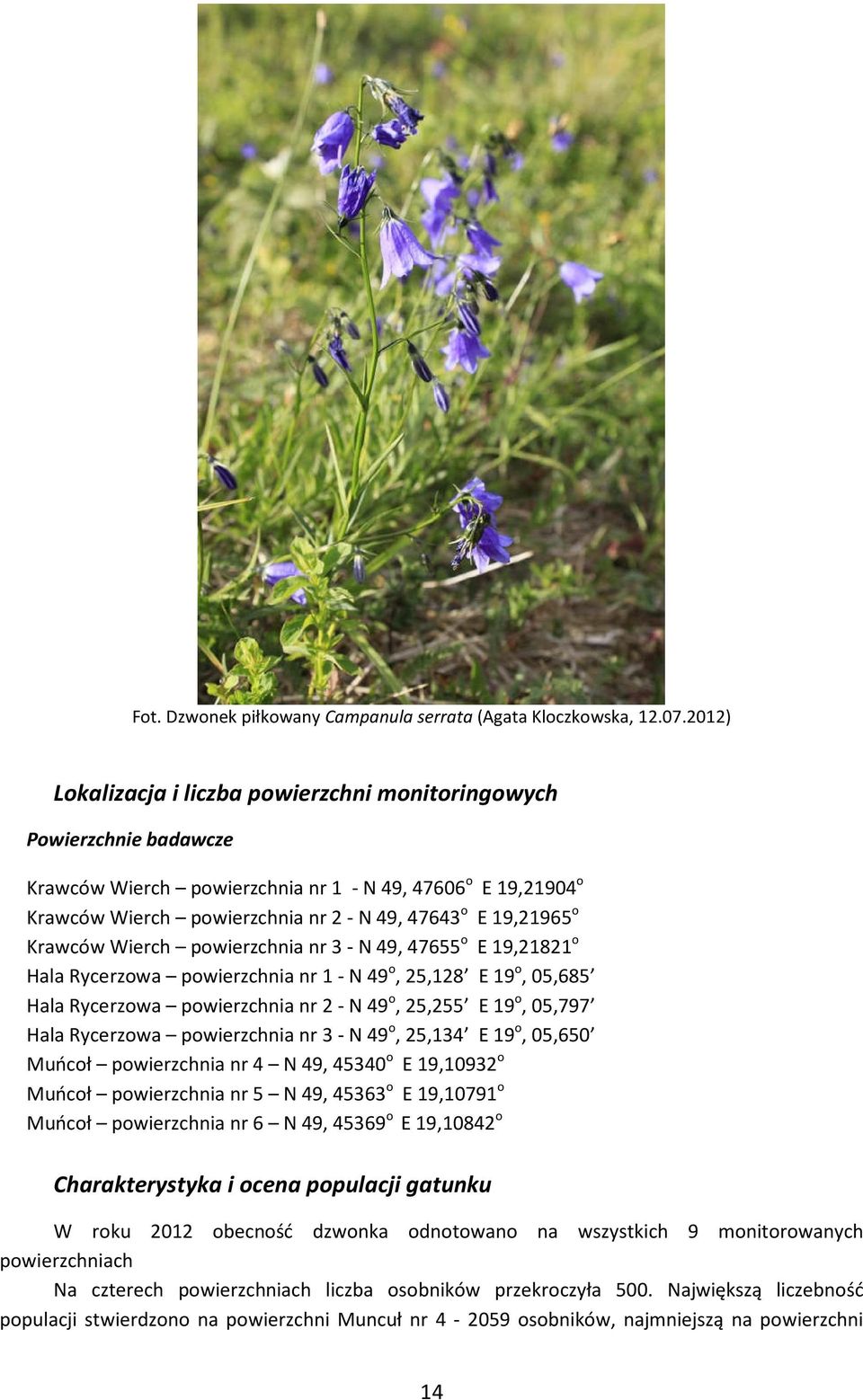 o Krawców Wierch powierzchnia nr 3 - N 49, 47655 o E 19,21821 o Hala Rycerzowa powierzchnia nr 1 - N 49 o, 25,128 E 19 o, 05,685 Hala Rycerzowa powierzchnia nr 2 - N 49 o, 25,255 E 19 o, 05,797 Hala