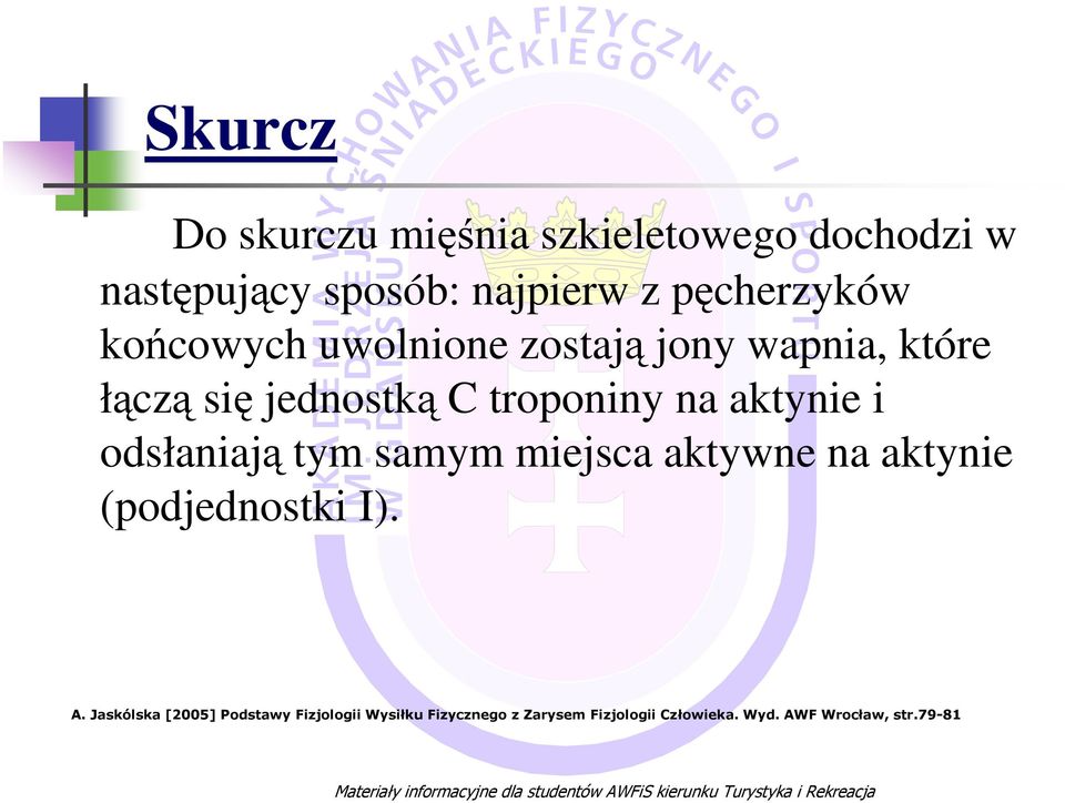 na aktynie i odsłaniają tym samym miejsca aktywne na aktynie (podjednostki I). A.