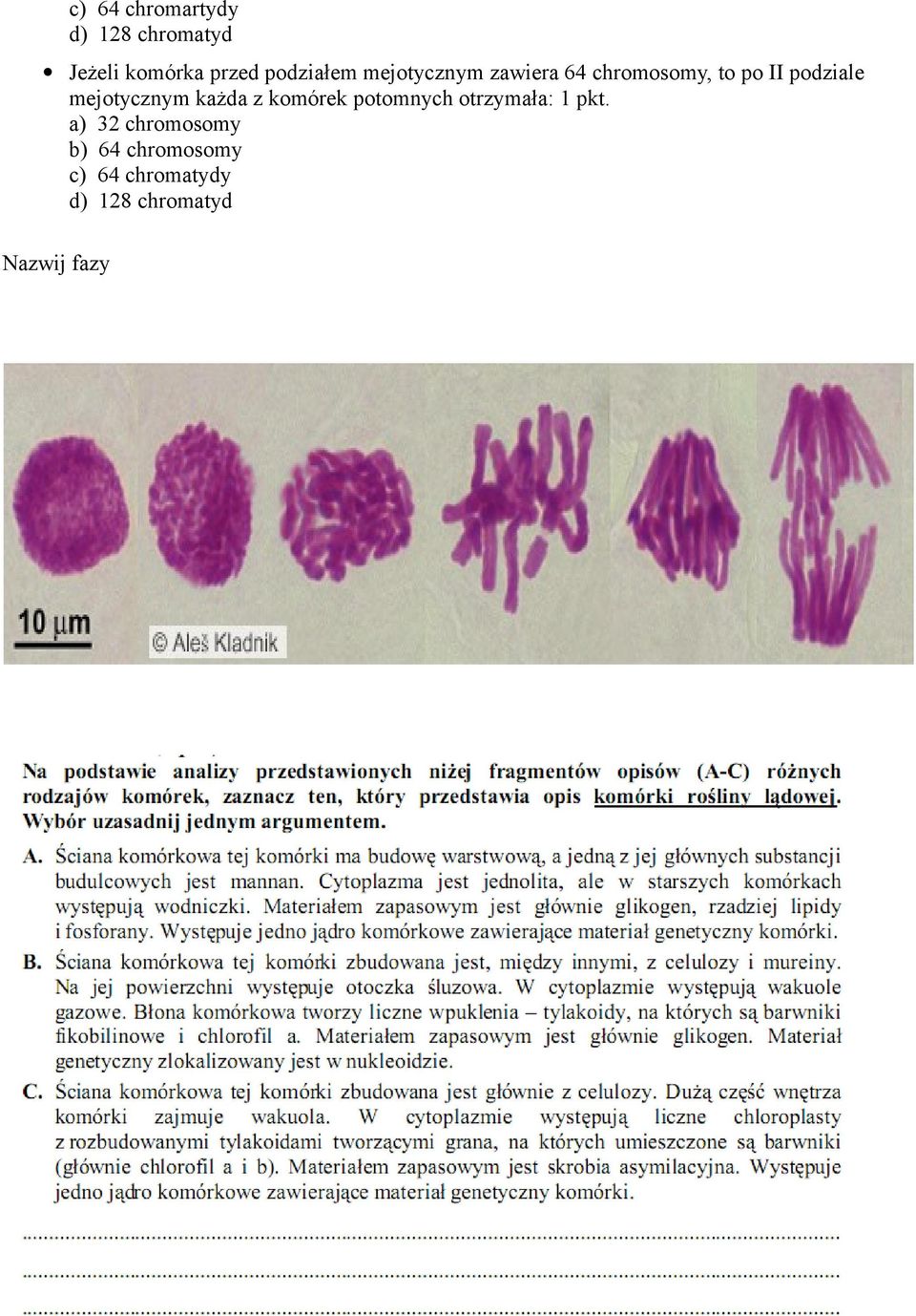 mejotycznym każda z komórek potomnych otrzymała: 1 pkt.