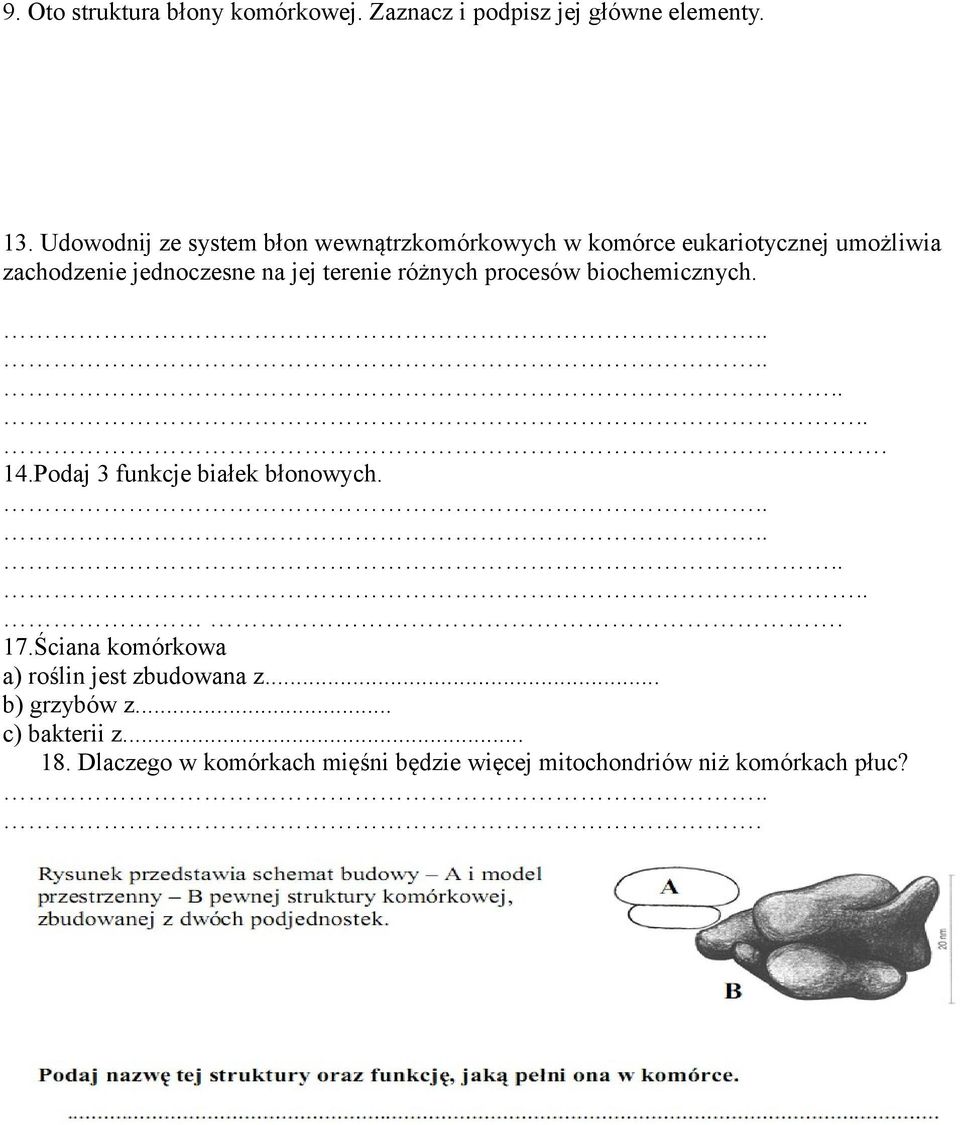 terenie różnych procesów biochemicznych.......... 14.Podaj 3 funkcje białek błonowych.......... 17.