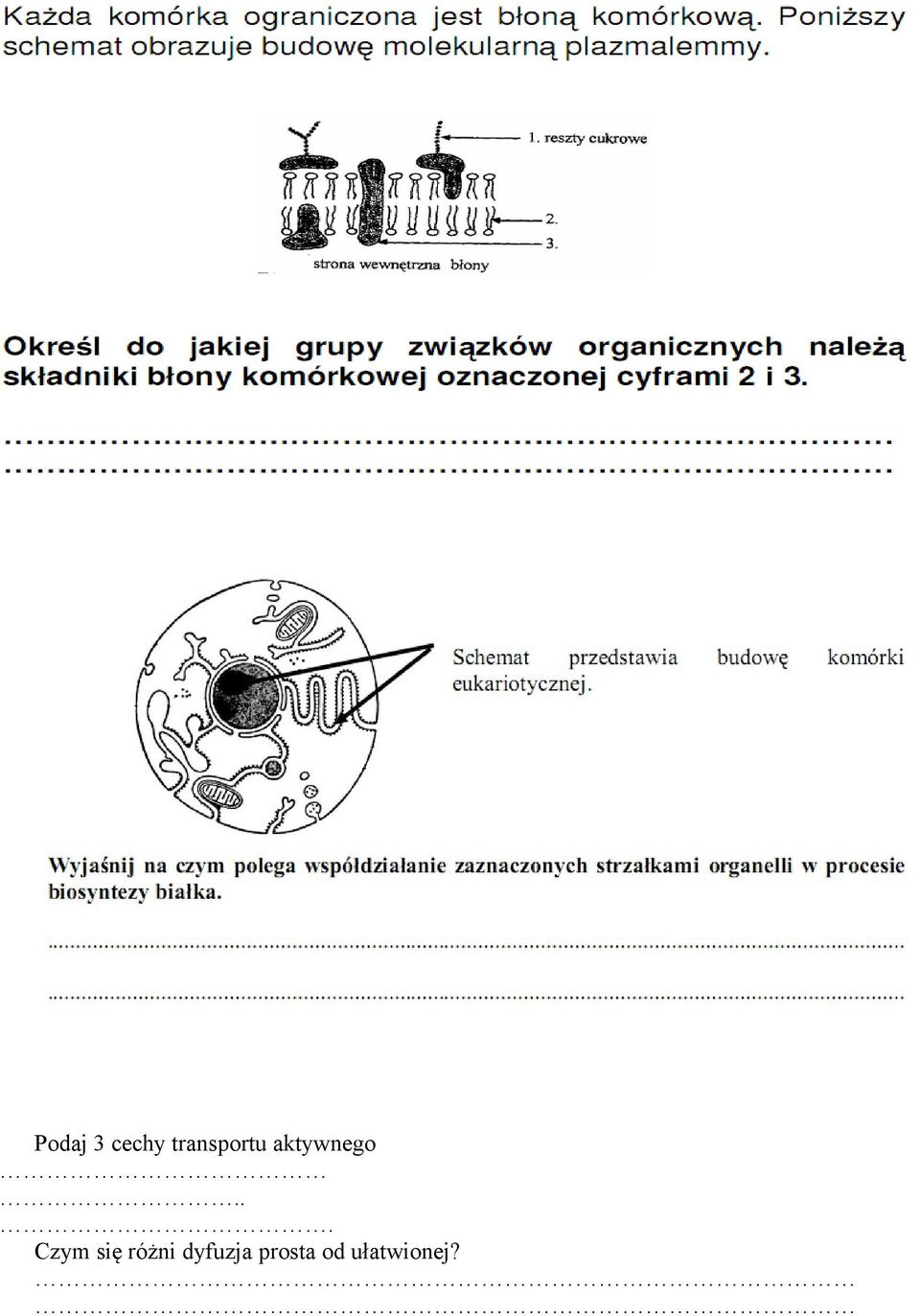 .. Czym się różni