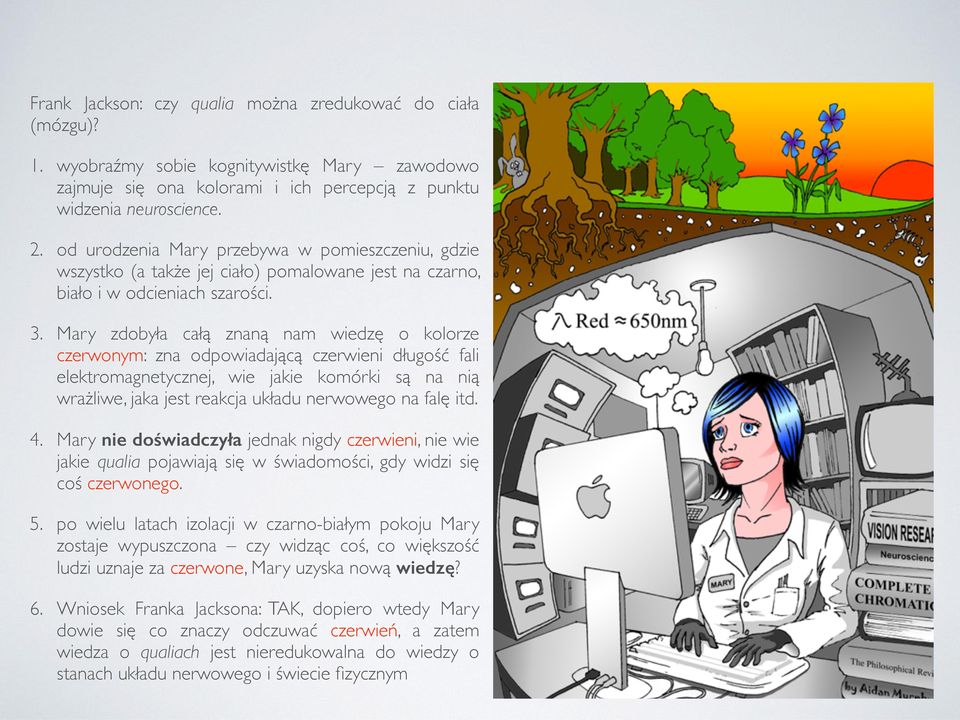 Mary zdobyła całą znaną nam wiedzę o kolorze czerwonym: zna odpowiadającą czerwieni długość fali elektromagnetycznej, wie jakie komórki są na nią wrażliwe, jaka jest reakcja układu nerwowego na falę