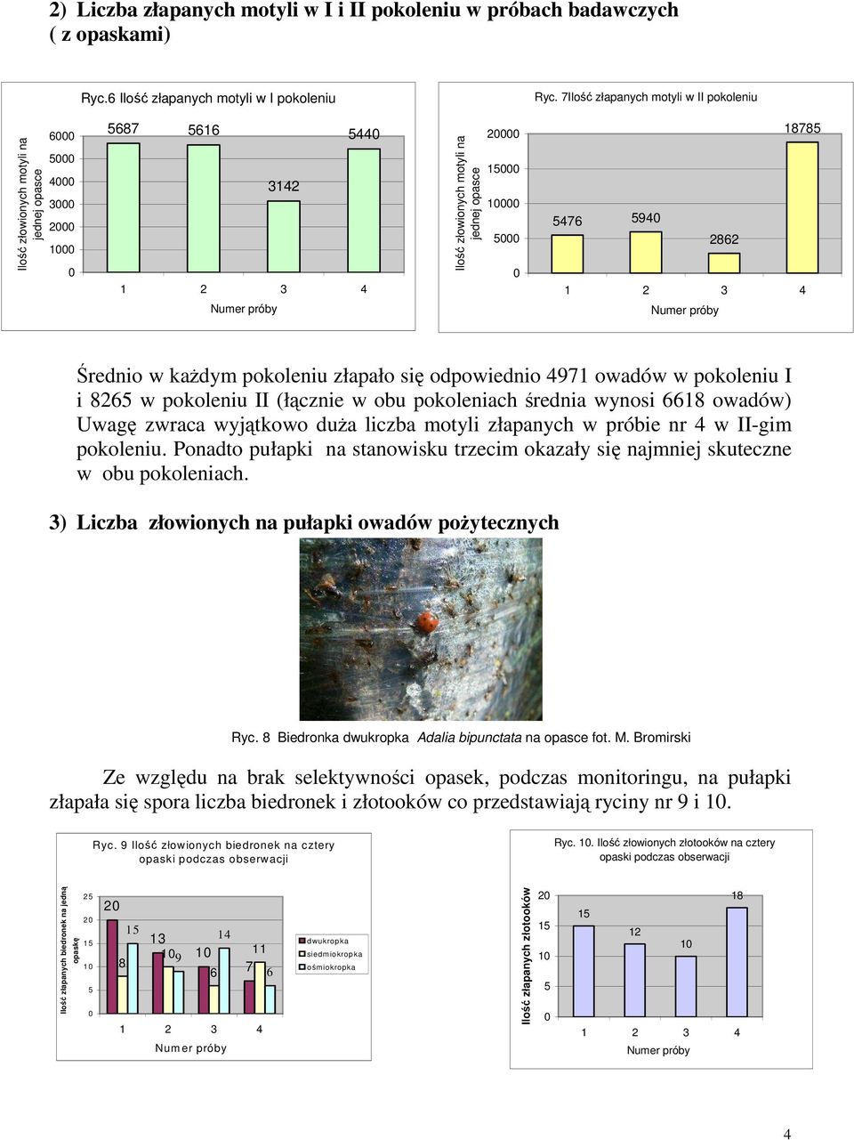 pokoleniu złapało się odpowiednio 4971 owadów w pokoleniu I i 8265 w pokoleniu II (łącznie w obu pokoleniach średnia wynosi 6618 owadów) Uwagę zwraca wyjątkowo duŝa liczba motyli złapanych w próbie