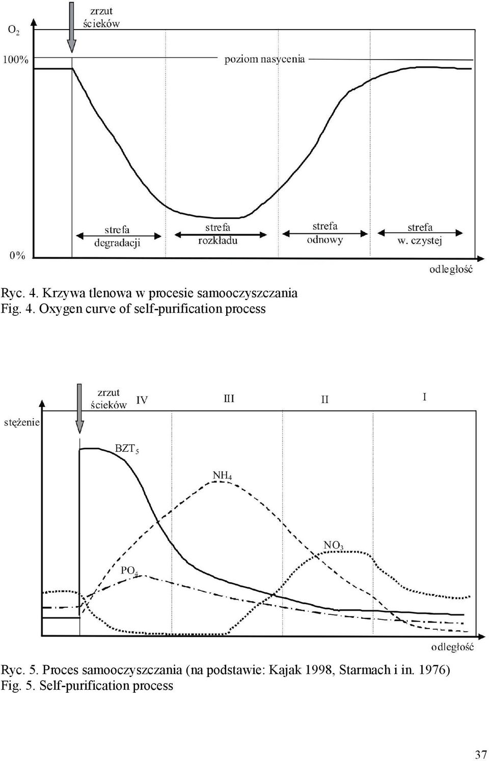 Proces samooczyszczania (na podstawie: Kajak 1998,