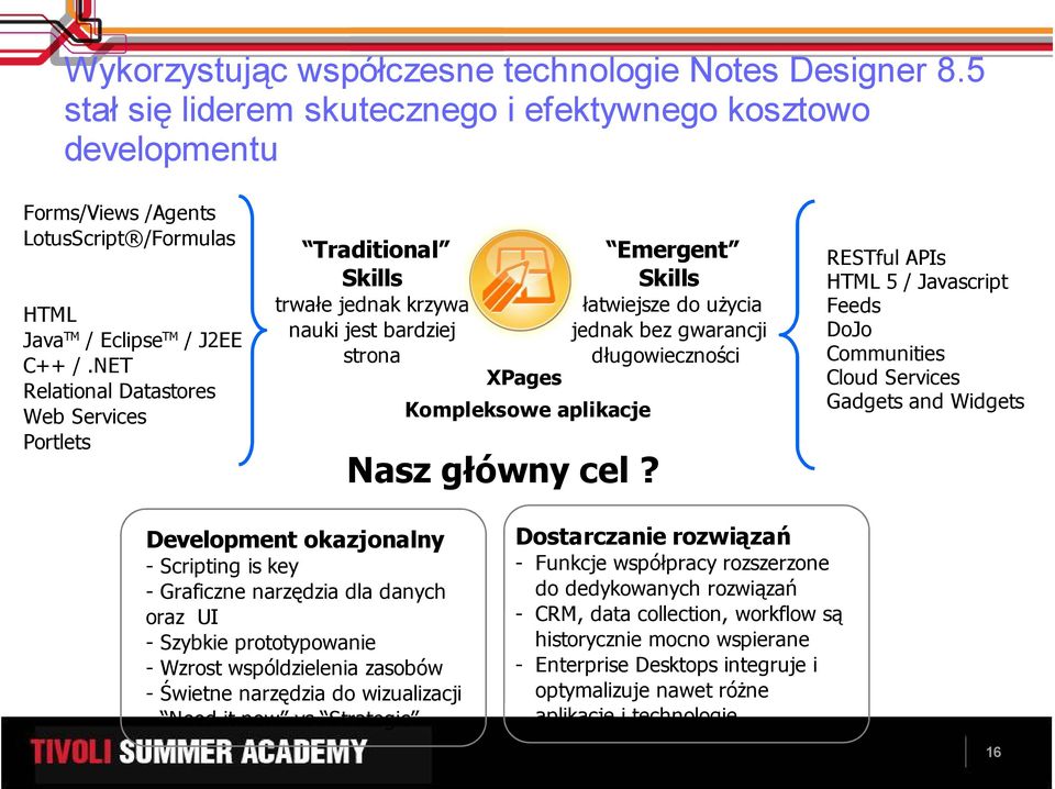 NET Relational Datastores Web Services Portlets Traditional Skills trwałe jednak krzywa nauki jest bardziej strona XPages Kompleksowe aplikacje Nasz główny cel?