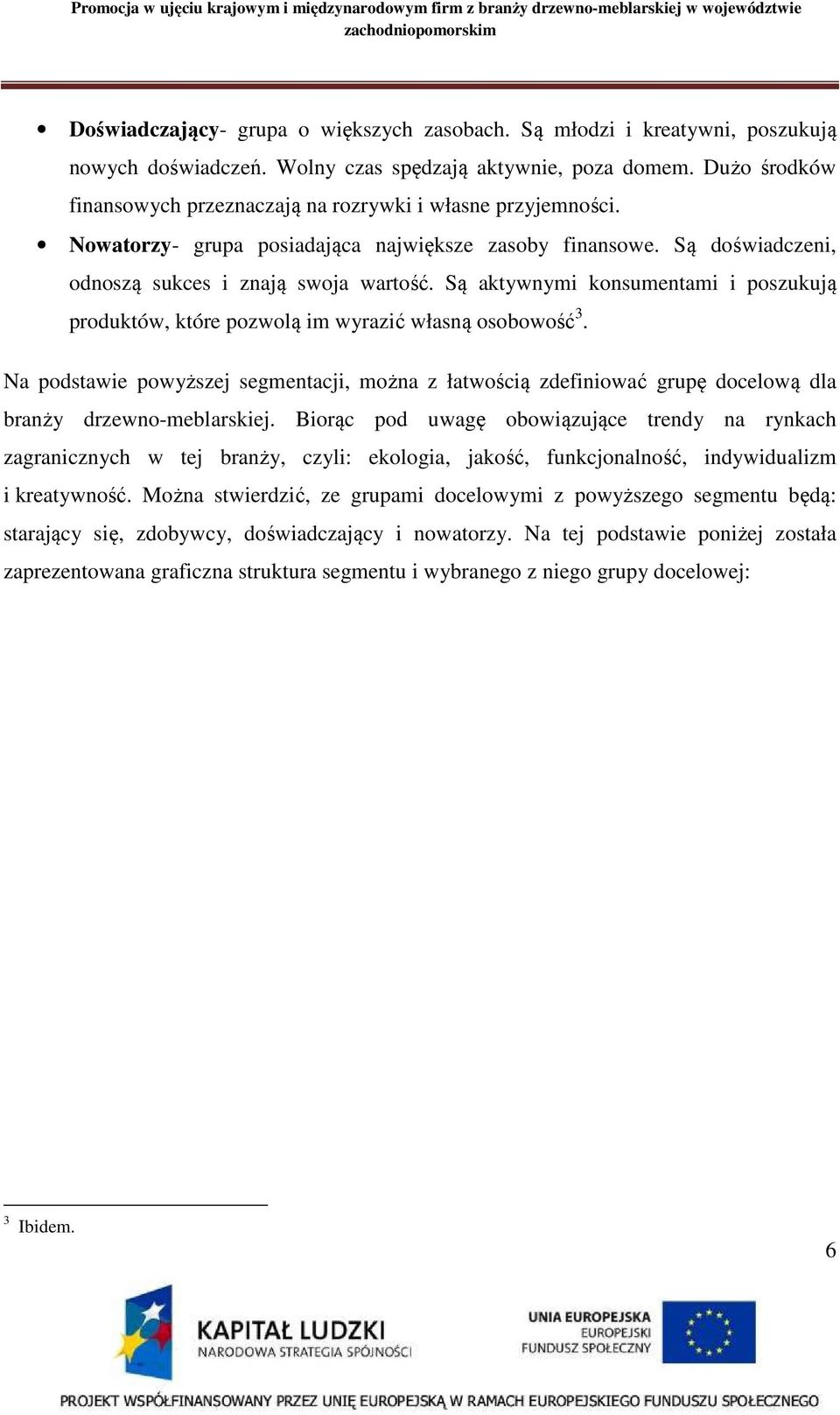 Są aktywnymi konsumentami i poszukują produktów, które pozwolą im wyrazić własną osobowość 3.