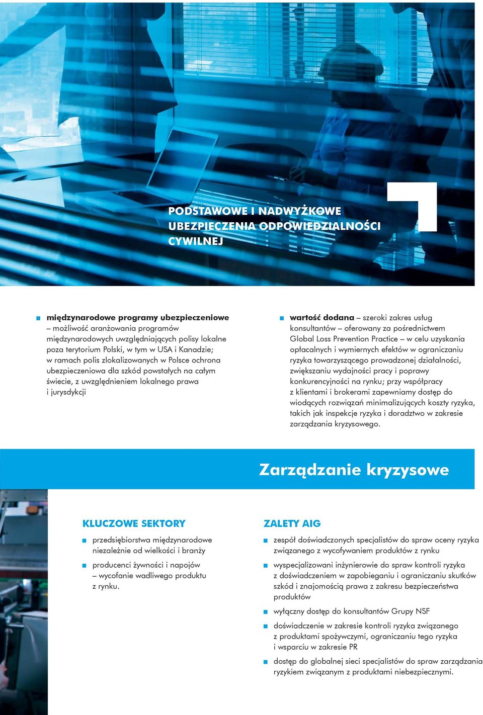 wartość dodana szeroki zakres usług konsultantów oferowany za pośrednictwem Global Loss Prevention Practice w celu uzyskania opłacalnych i wymiernych efektów w ograniczaniu ryzyka towarzyszącego