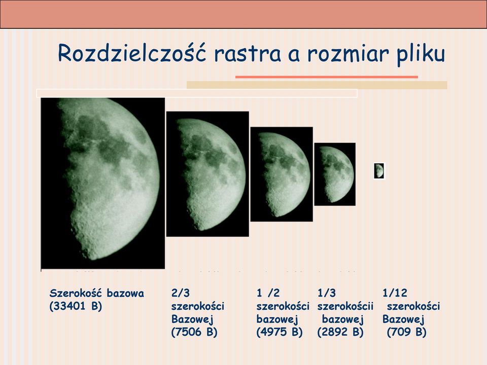 1 /2 szerokości bazowej (4975 B) 1/3 szerokościi