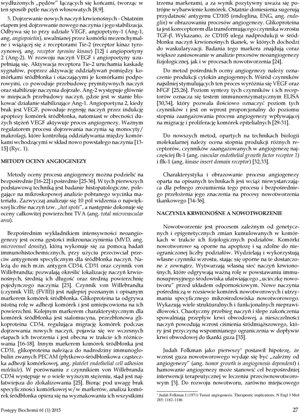 angiopoietin), uwalnianej przez komórki mezenchymalne i wiążącej się z receptorami Tie-2 (receptor kinaz tyrozynowej, ang. receptor tyrosine kinase) [12] i angiopoetyny 2 (Ang-2).