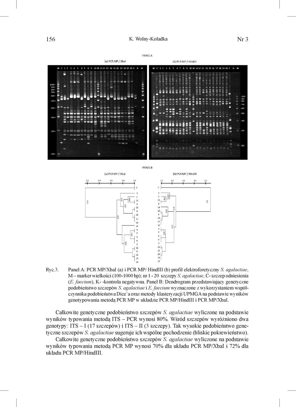 faecium wyznaczone z wykorzystaniem współczynnika podobieństwa Dice a oraz metody klasteryzacji UPMGA na podstawie wyników genotypowania metodą PCR MP w układzie PCR MP/HindIII i PCR MP/XbaI.