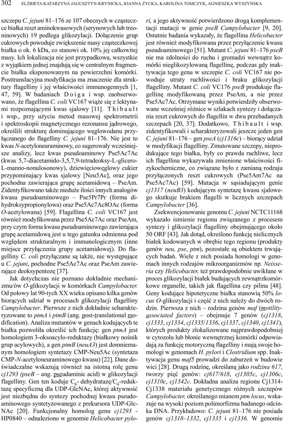 Do³¹czenie grup cukrowych powoduje zwiêkszenie masy cz¹steczkowej bia³ka o ok. 6 kda, co stanowi ok. 10% jej ca³kowitej masy.