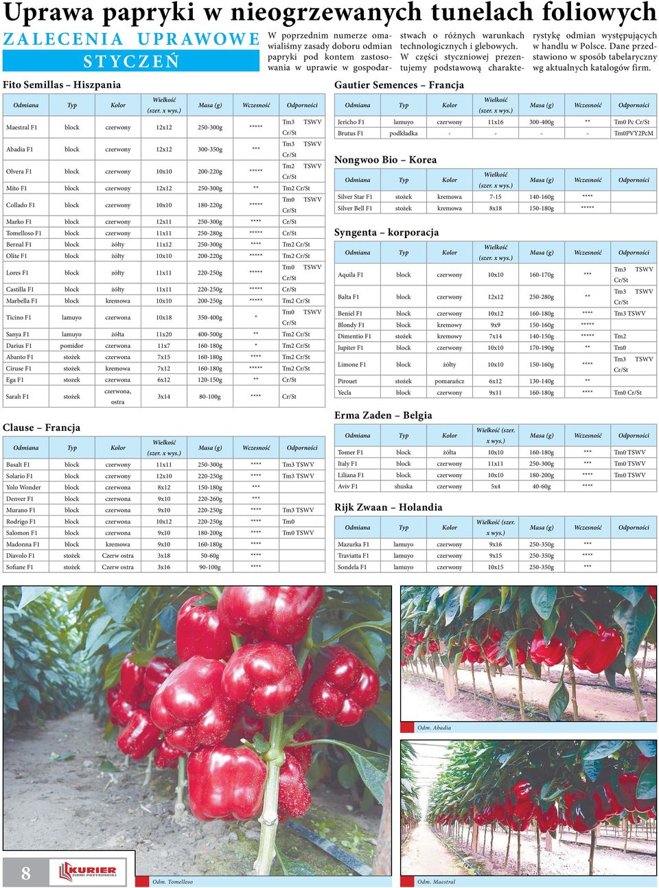 czerwony 12x11 250-300g **** Tomelloso F1 block czerwony 11x11 250-280g ***** Bernal F1 block żółty 11x12 250-300g **** Tm2 Olite F1 block żółty 10x10 200-220g ***** Tm2 Lores F1 block zółty 11x11