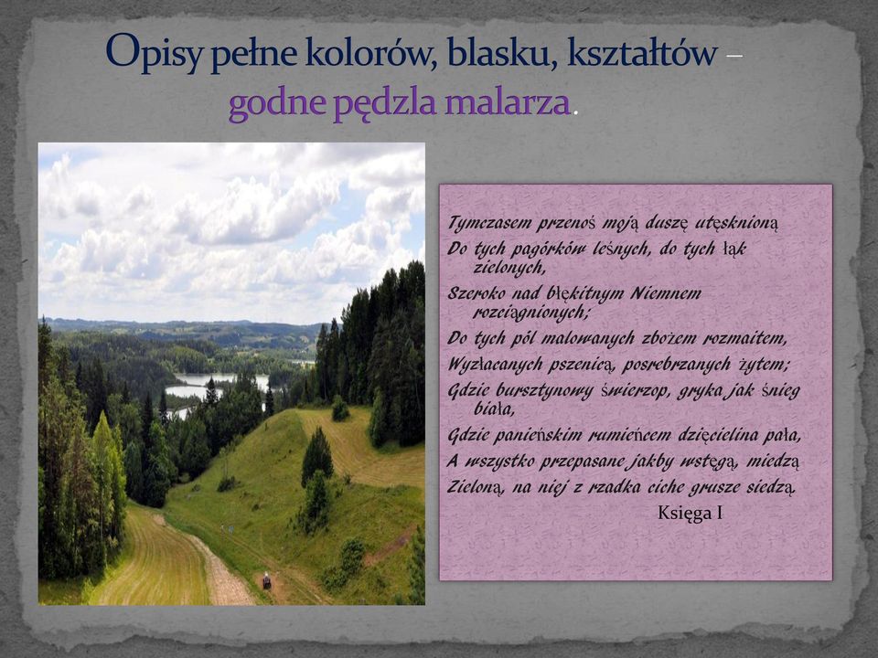 posrebrzanych żytem; Gdzie bursztynowy świerzop, gryka jak śnieg biała, Gdzie panieńskim rumieńcem