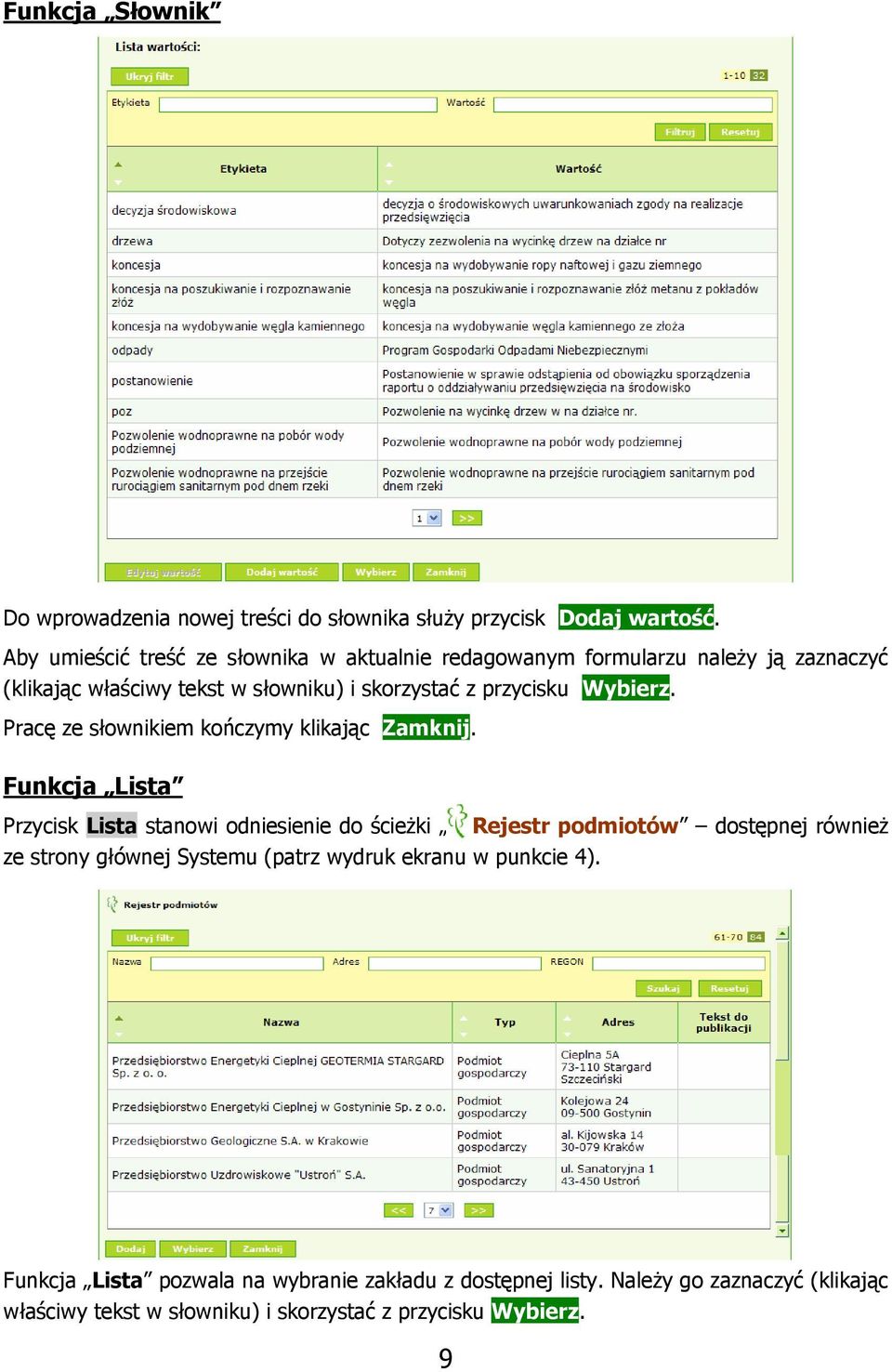 Wybierz. Pracę ze słownikiem kończymy klikając Zamknij.