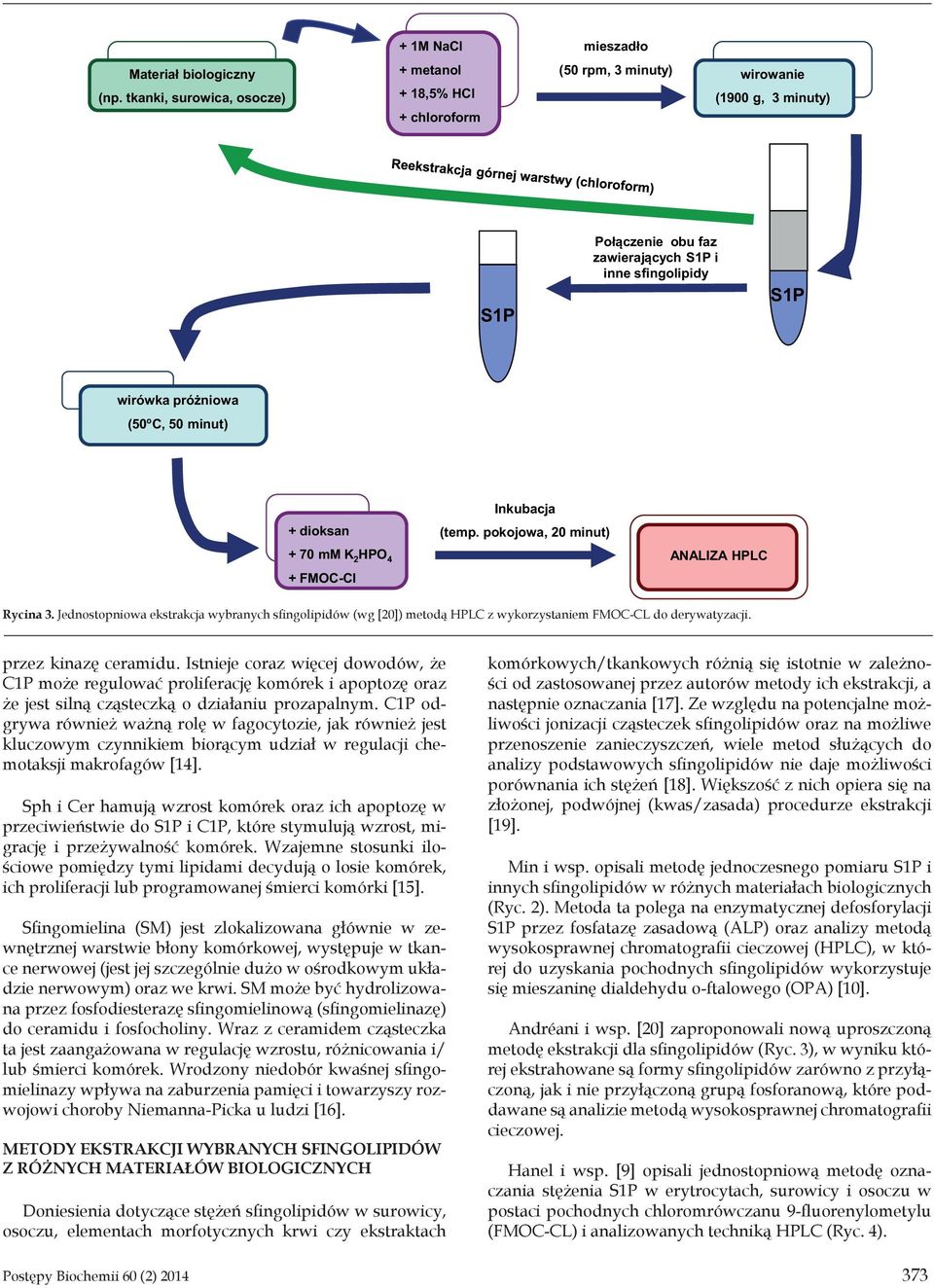 70 mm K 2 HPO 4 + FMOC-Cl Inkubacja (temp. pokojowa, 20 minut) ANALIZA HPLC Rycina 3. Jednostopniowa ekstrakcja wybranych sfingolipidów (wg [20]) metodą HPLC z wykorzystaniem FMOC-CL do derywatyzacji.