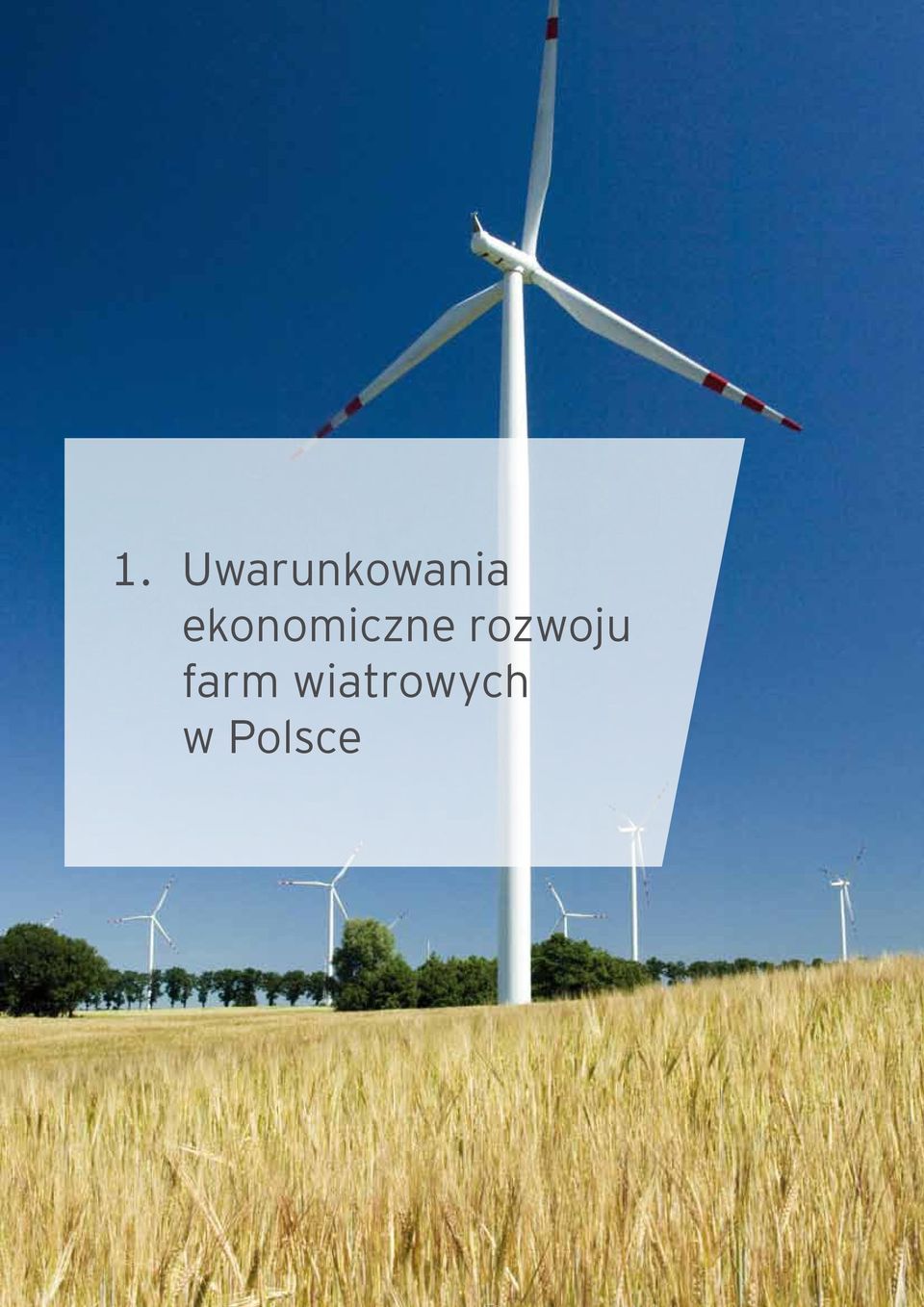 Polsce Wpływ energetyki