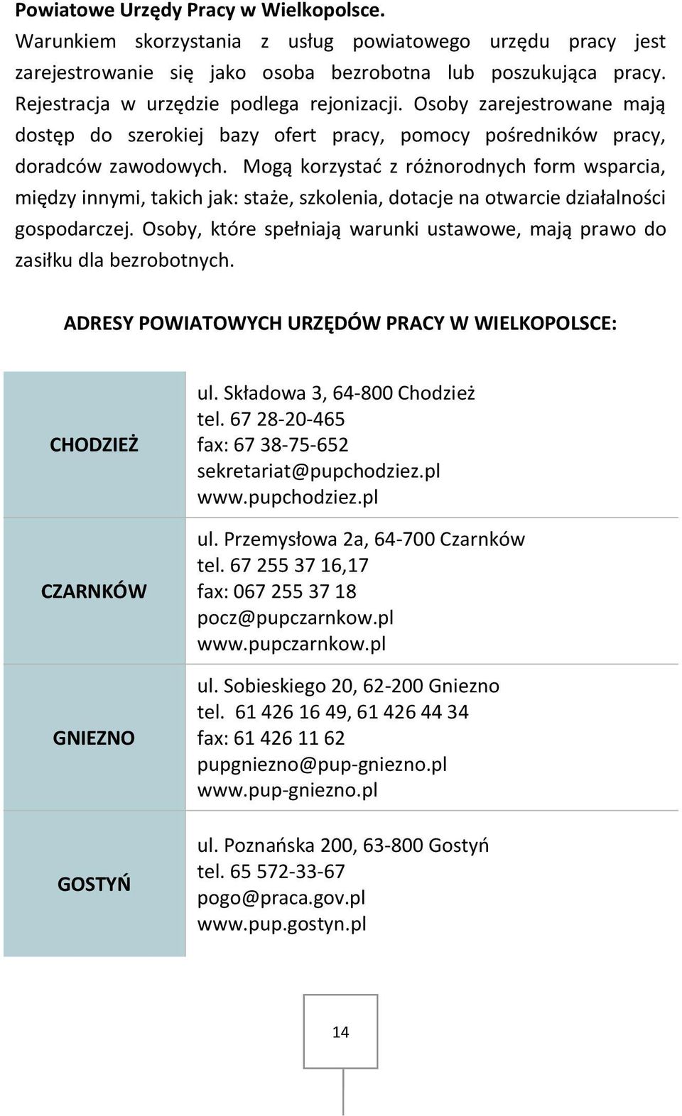 Mogą korzystać z różnorodnych form wsparcia, między innymi, takich jak: staże, szkolenia, dotacje na otwarcie działalności gospodarczej.