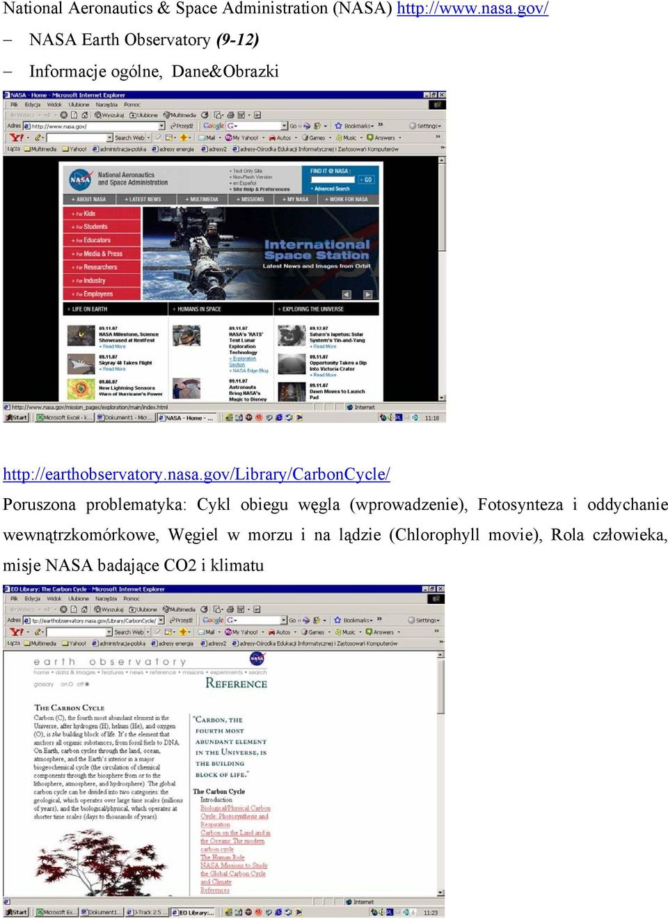 gov/library/carboncycle/ Poruszona problematyka: Cykl obiegu węgla (wprowadzenie), Fotosynteza i