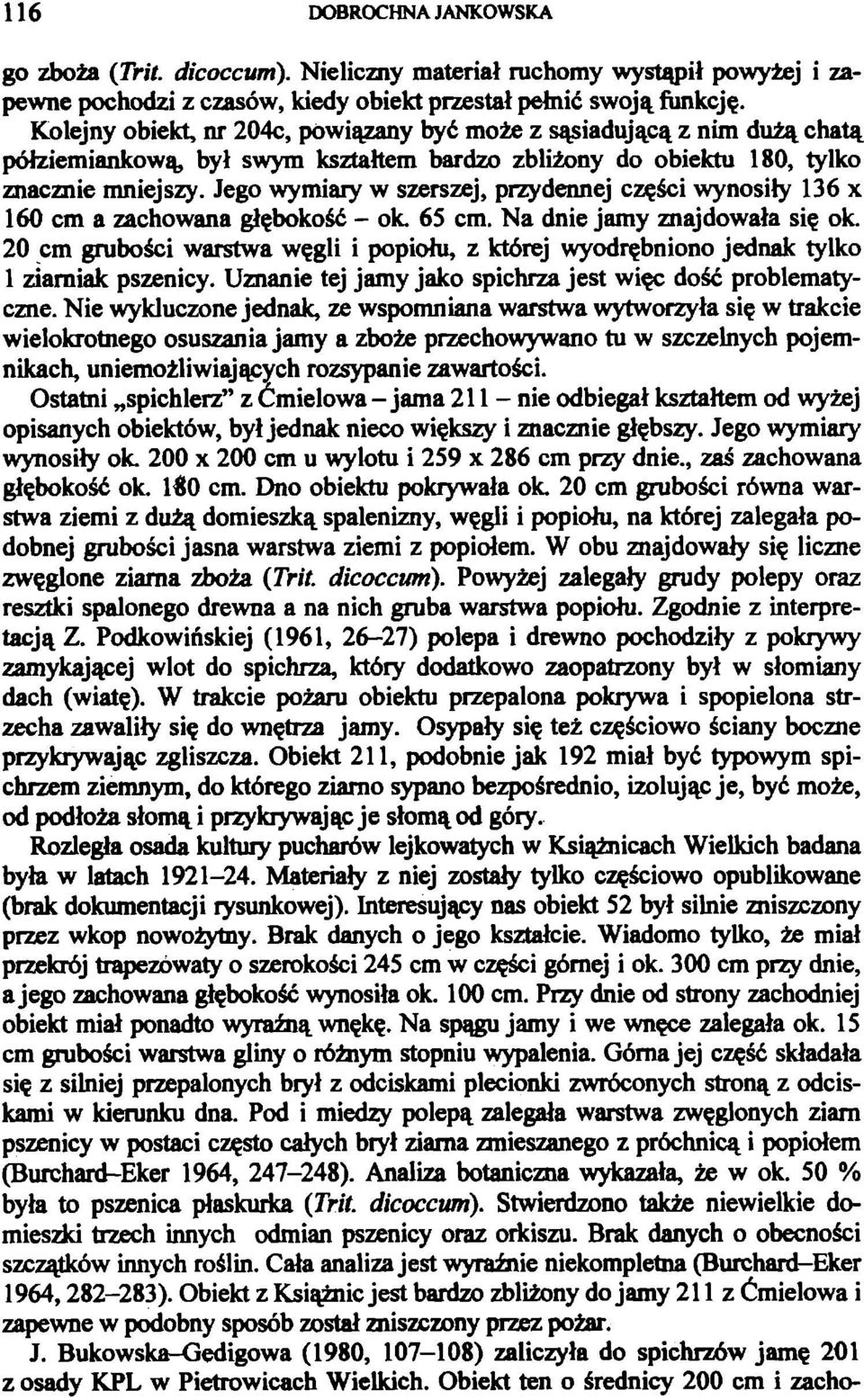 Jego wymiary w szerszej, przydennej części wynosiły 136 x 160 cm a zachowana głębokość - ok. 65 cm. Na dnie jamy znajdowała się ok.