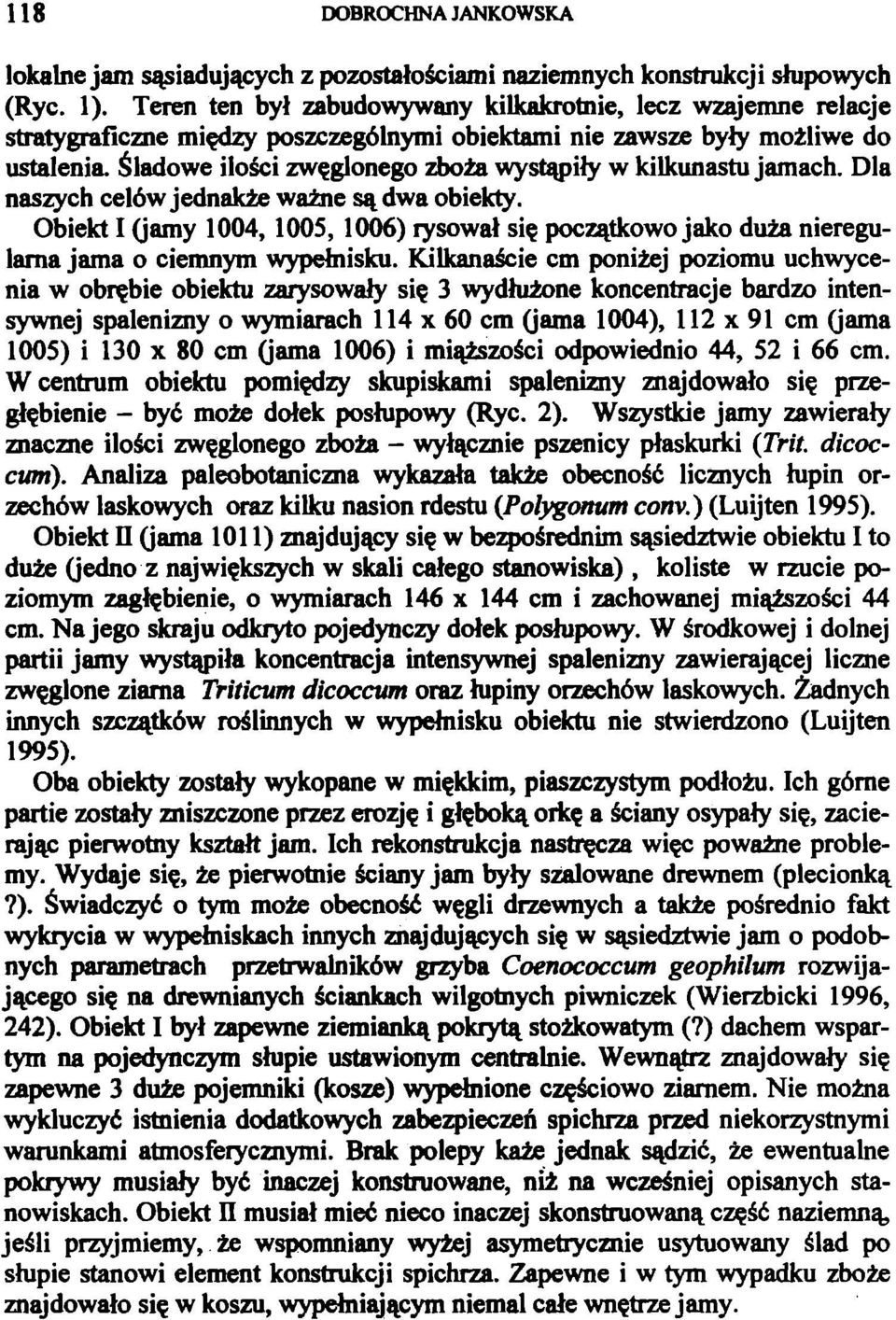 Śladowe ilości zwęglonego zboża wystąpiły w kilkunastu jamach. Dla naszych celów jednakże ważne są dwa obiekty.