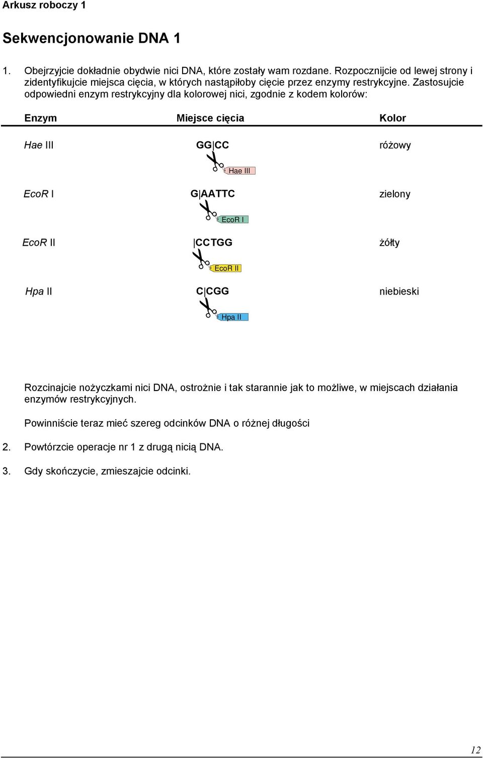 Zastosujcie odpowiedni enzym restrykcyjny dla kolorowej nici, zgodnie z kodem kolorów: Enzym Miejsce cięcia Kolor Hae III GG CC różowy Hae III EcoR I G AATTC zielony EcoR I EcoR II