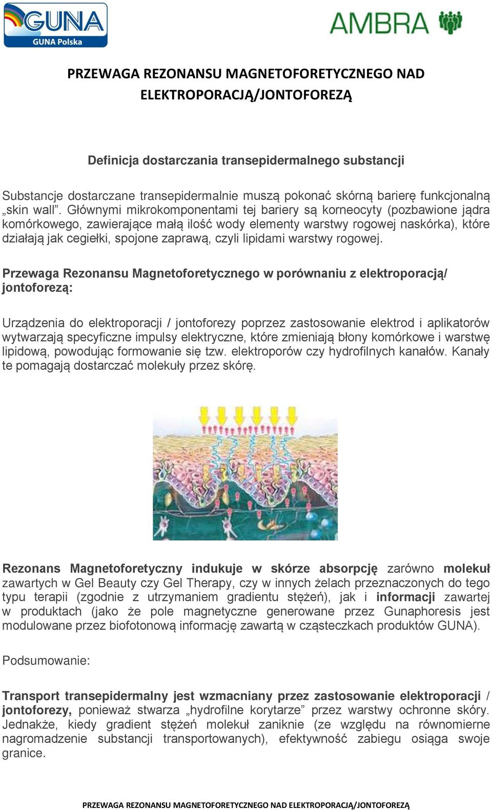 Głównymi mikrokomponentami tej bariery są korneocyty (pozbawione jądra komórkowego, zawierające małą ilość wody elementy warstwy rogowej naskórka), które działają jak cegiełki, spojone zaprawą, czyli