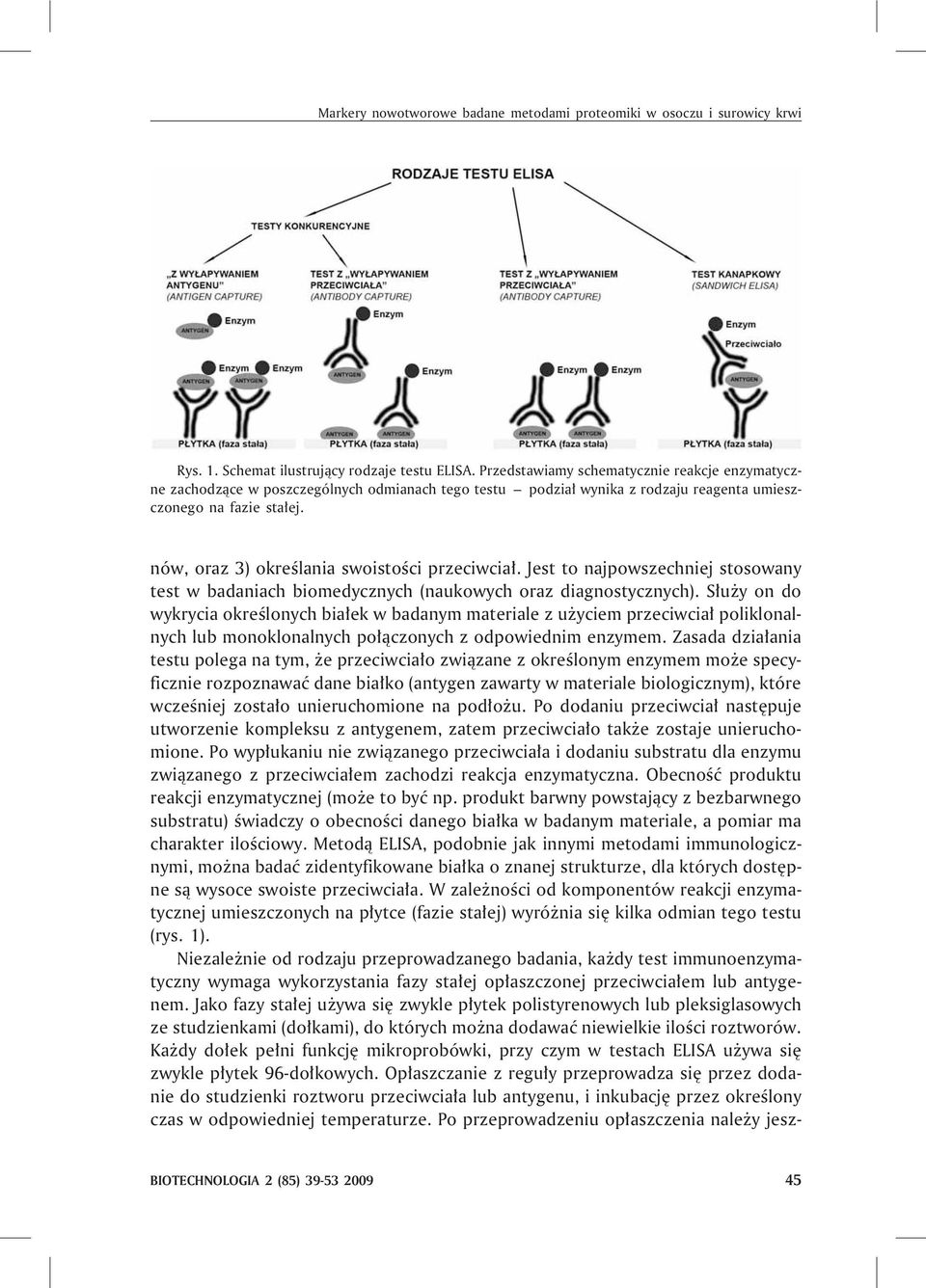 nów, oraz 3) okreœlania swoistoœci przeciwcia³. Jest to najpowszechniej stosowany test w badaniach biomedycznych (naukowych oraz diagnostycznych).