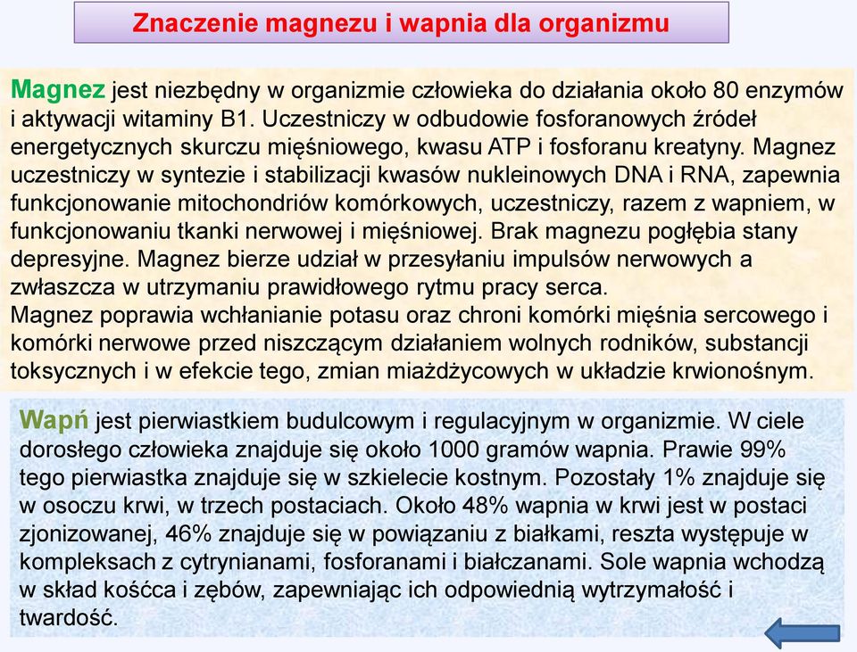 Magnez uczestniczy w syntezie i stabilizacji kwasów nukleinowych DNA i RNA, zapewnia funkcjonowanie mitochondriów komórkowych, uczestniczy, razem z wapniem, w funkcjonowaniu tkanki nerwowej i