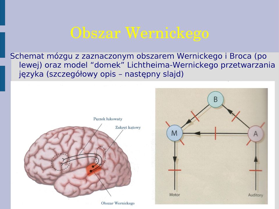 lewej) oraz model domek