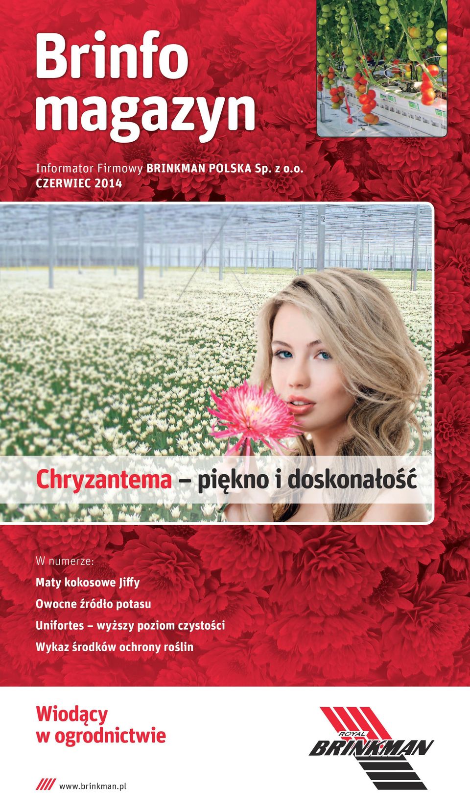 mator Firmowy BRINKMAN POLSKA Sp. z o.o. CZERWIEC 2014 Chryzantema