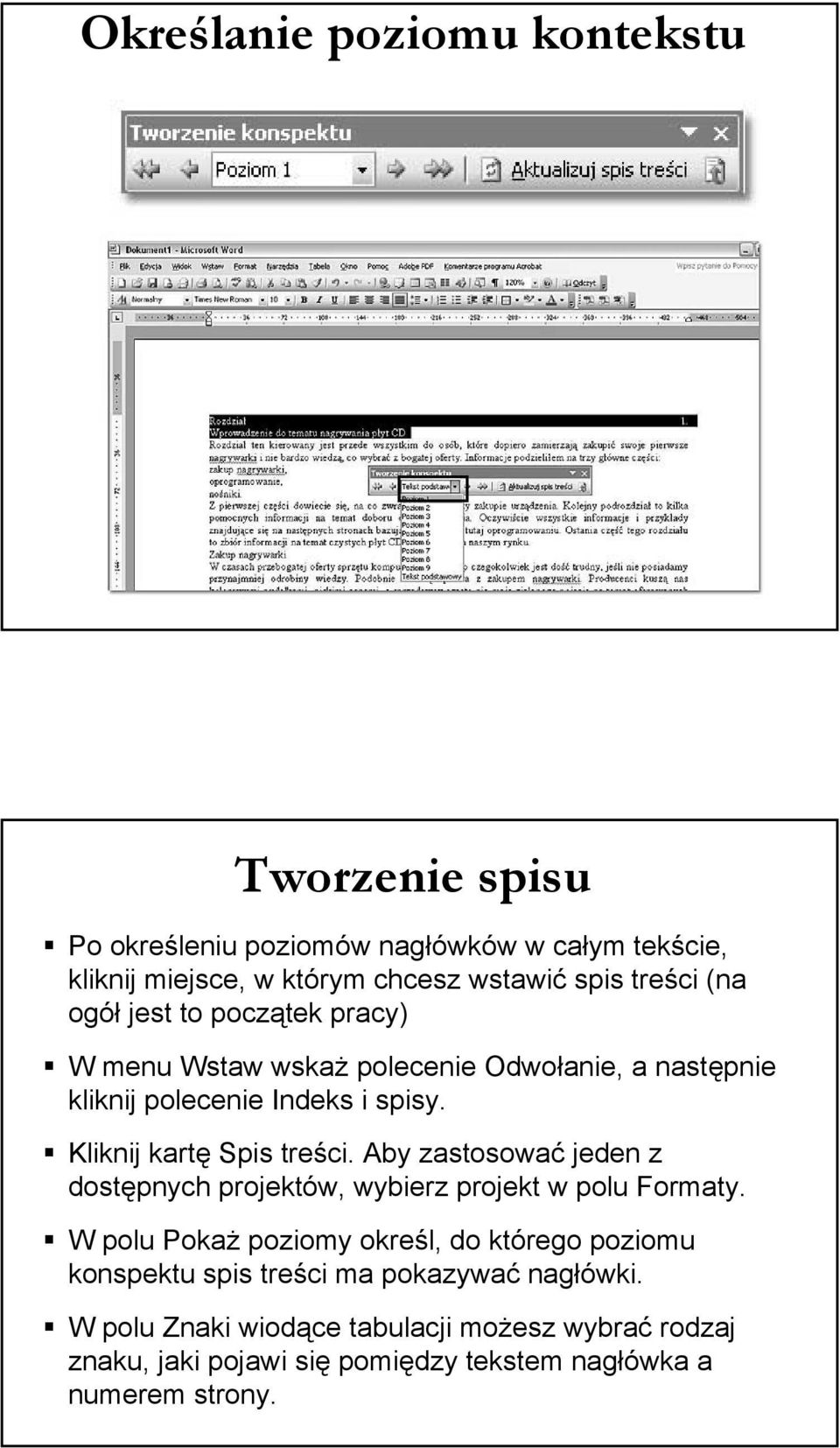 Kliknij kartę Spis treści. Aby zastosować jeden z dostępnych projektów, wybierz projekt w polu Formaty.